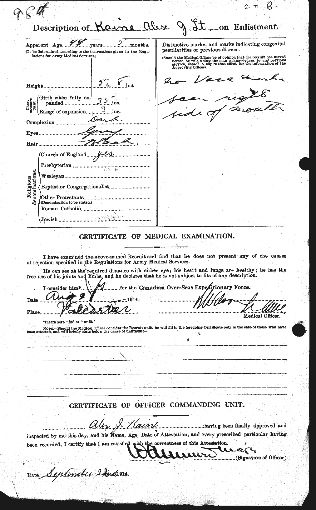 Personnel Records of the First World War - CEF 428221b