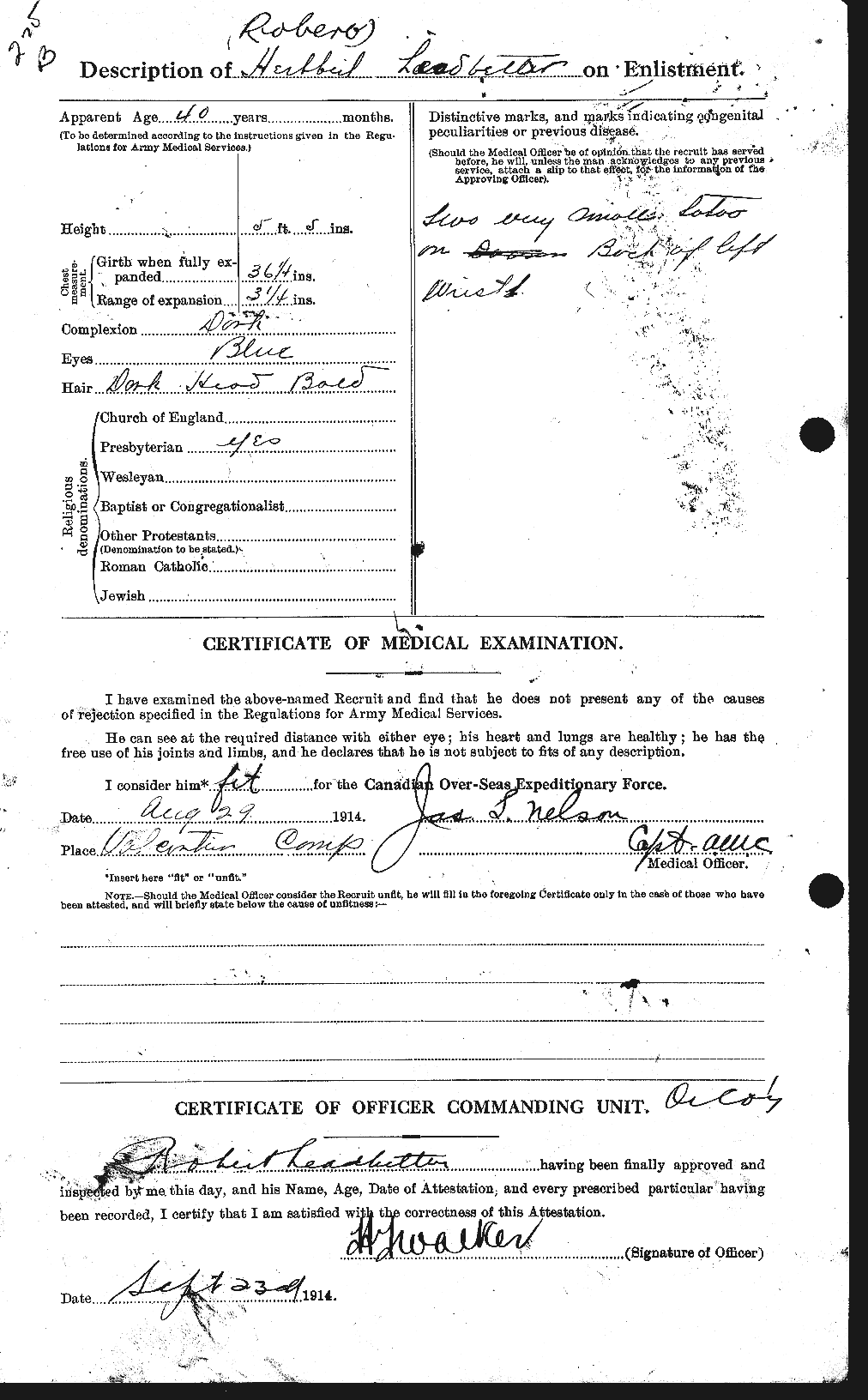 Personnel Records of the First World War - CEF 455847b