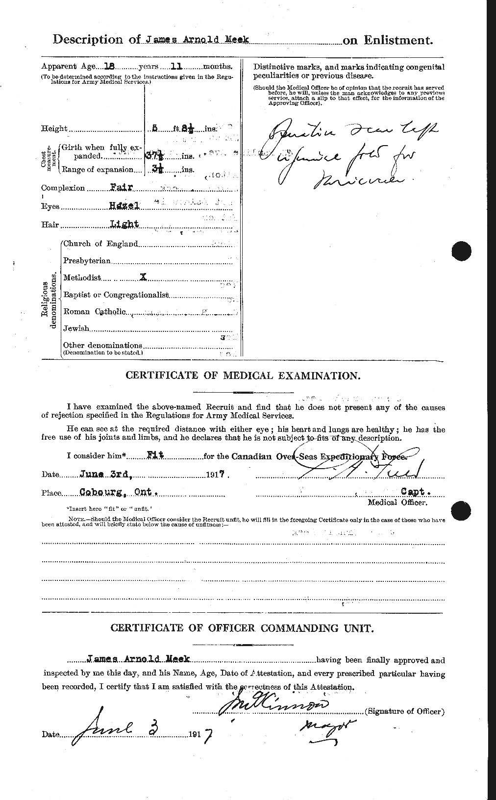 Personnel Records of the First World War - CEF 487681b