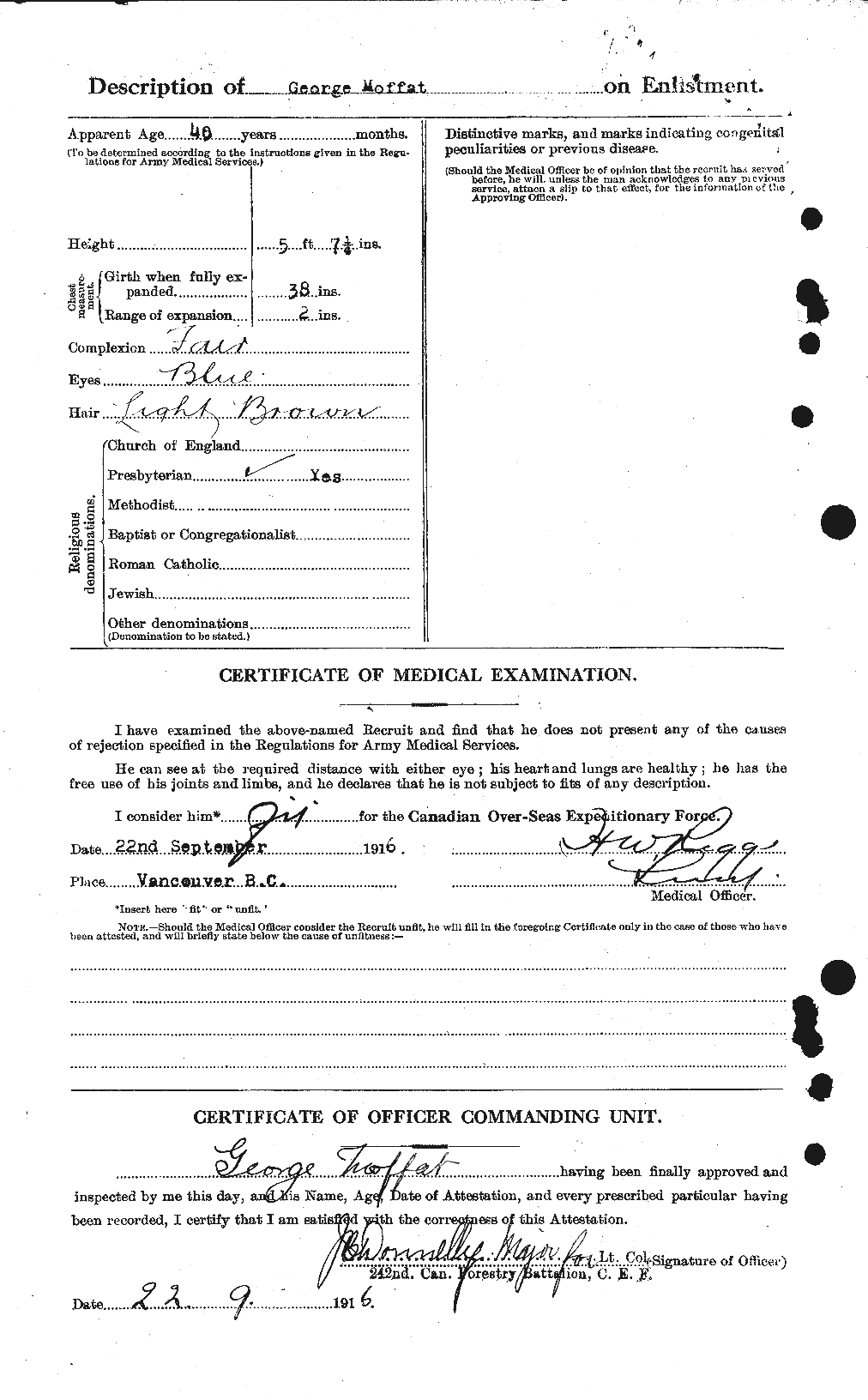 Personnel Records of the First World War - CEF 499013b