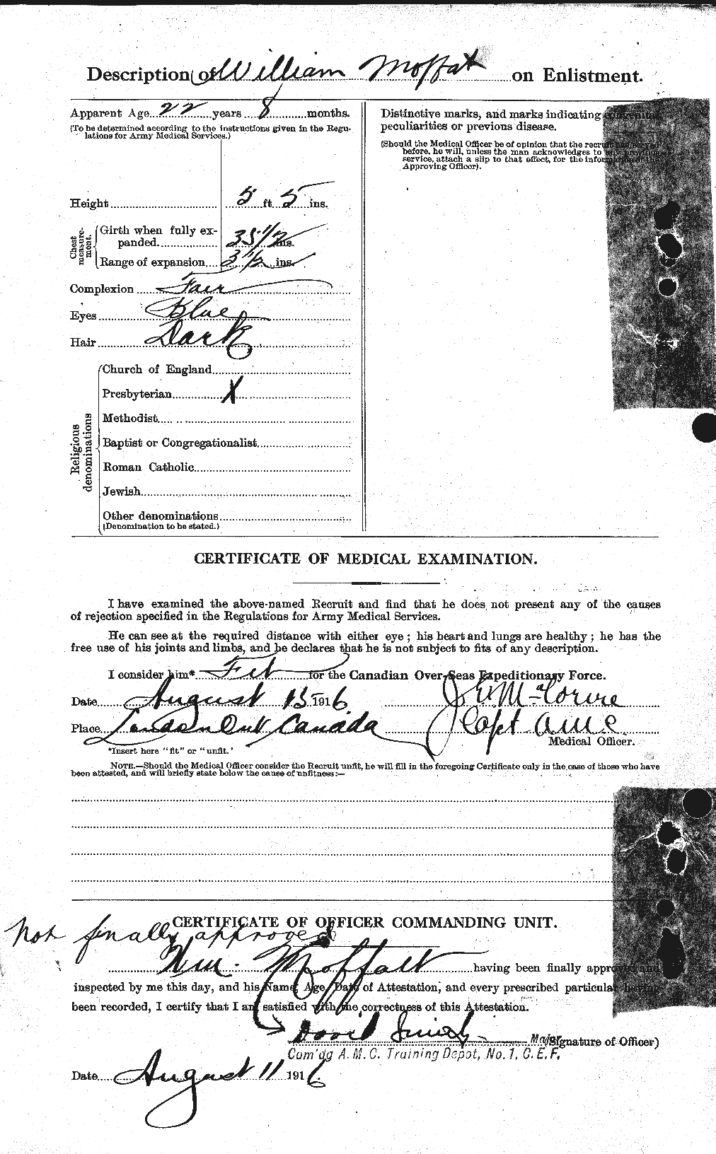 Personnel Records of the First World War - CEF 499086b