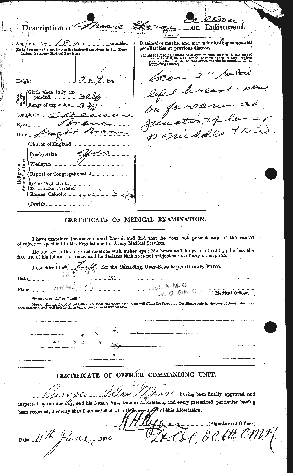 Personnel Records of the First World War - CEF 501983b