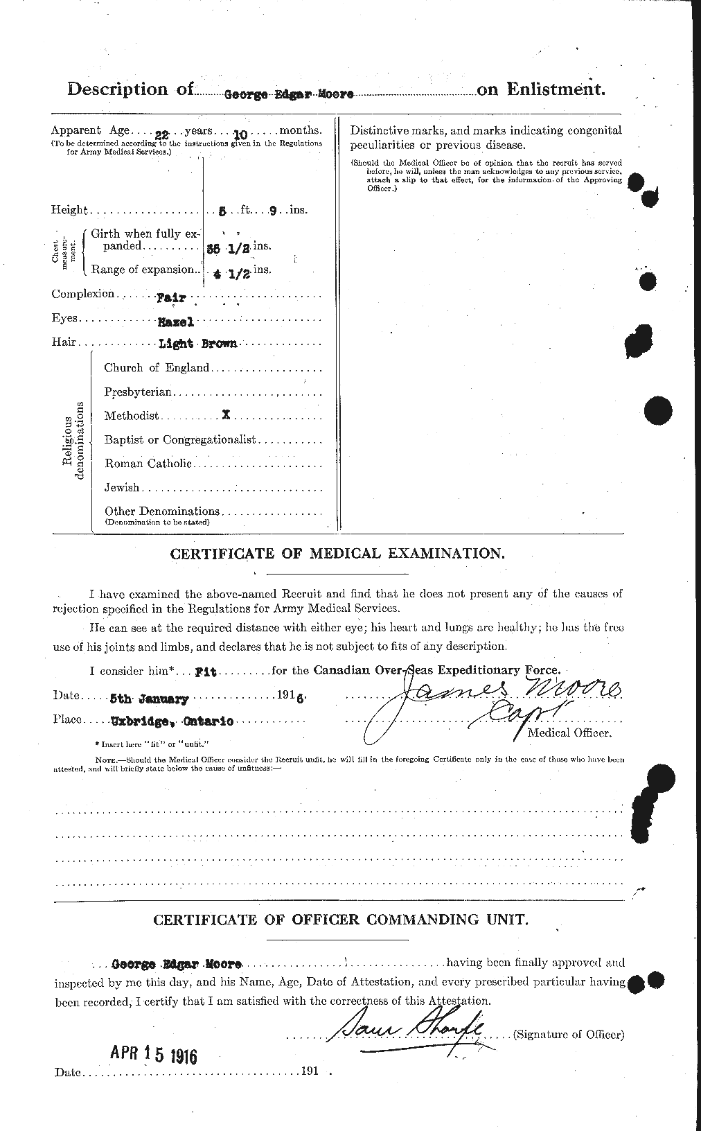 Personnel Records of the First World War - CEF 501995b