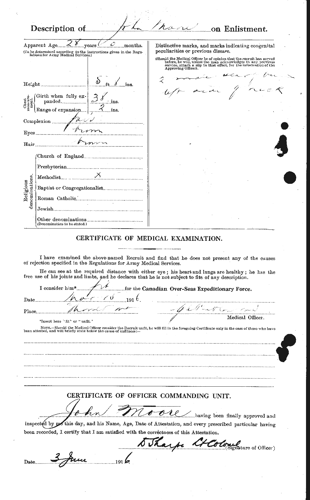 Personnel Records of the First World War - CEF 503228b