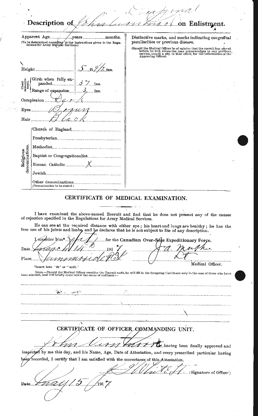Personnel Records of the First World War - CEF 503342b