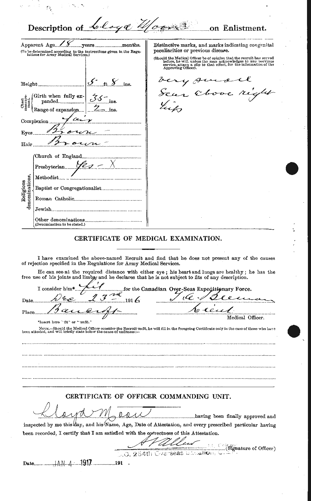 Personnel Records of the First World War - CEF 503417b