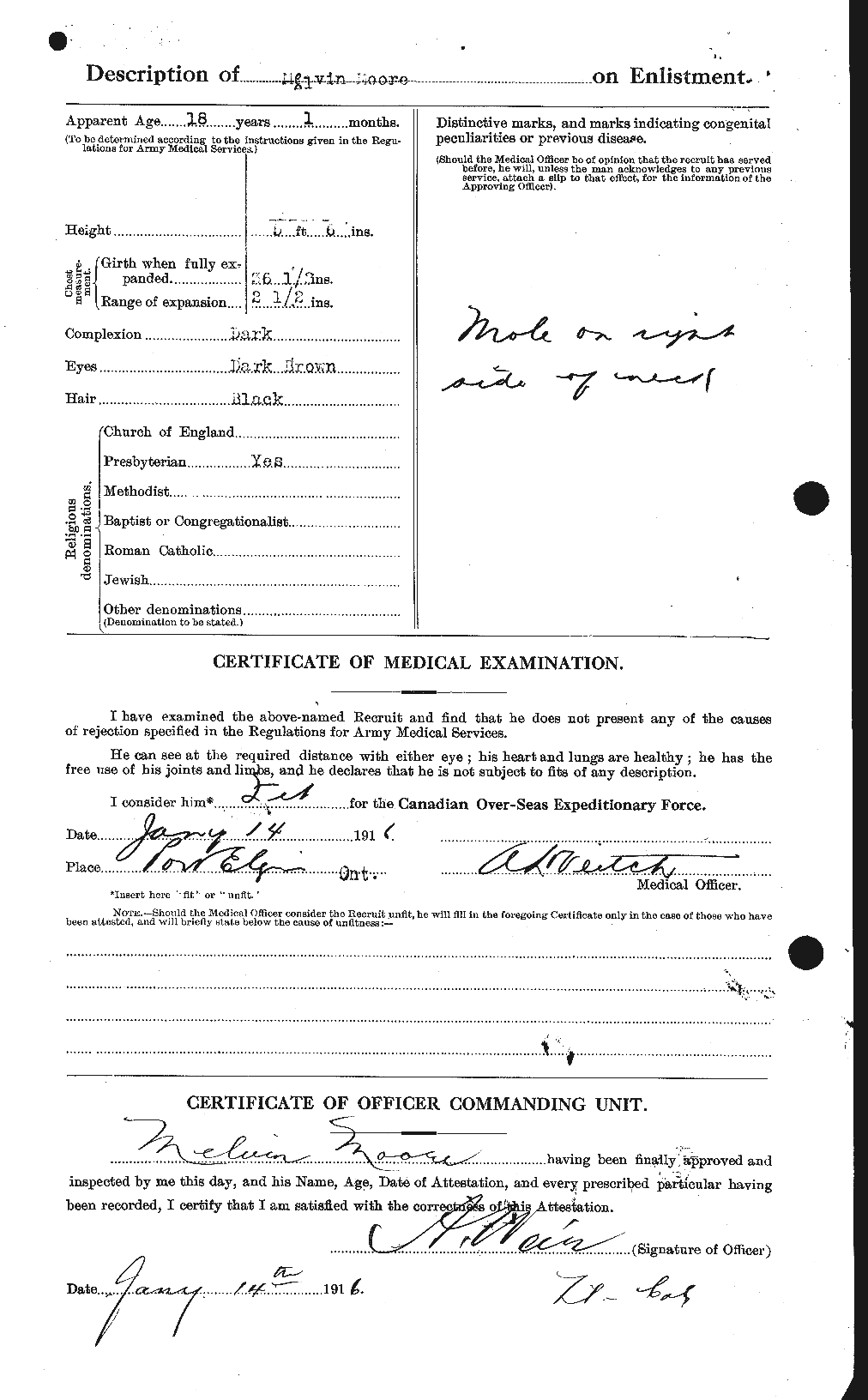 Personnel Records of the First World War - CEF 503438b