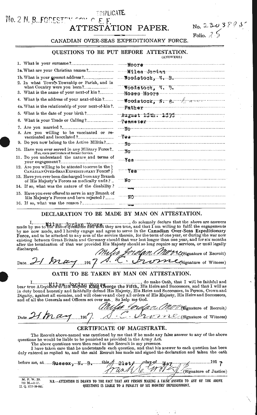 Personnel Records of the First World War - CEF 503445a