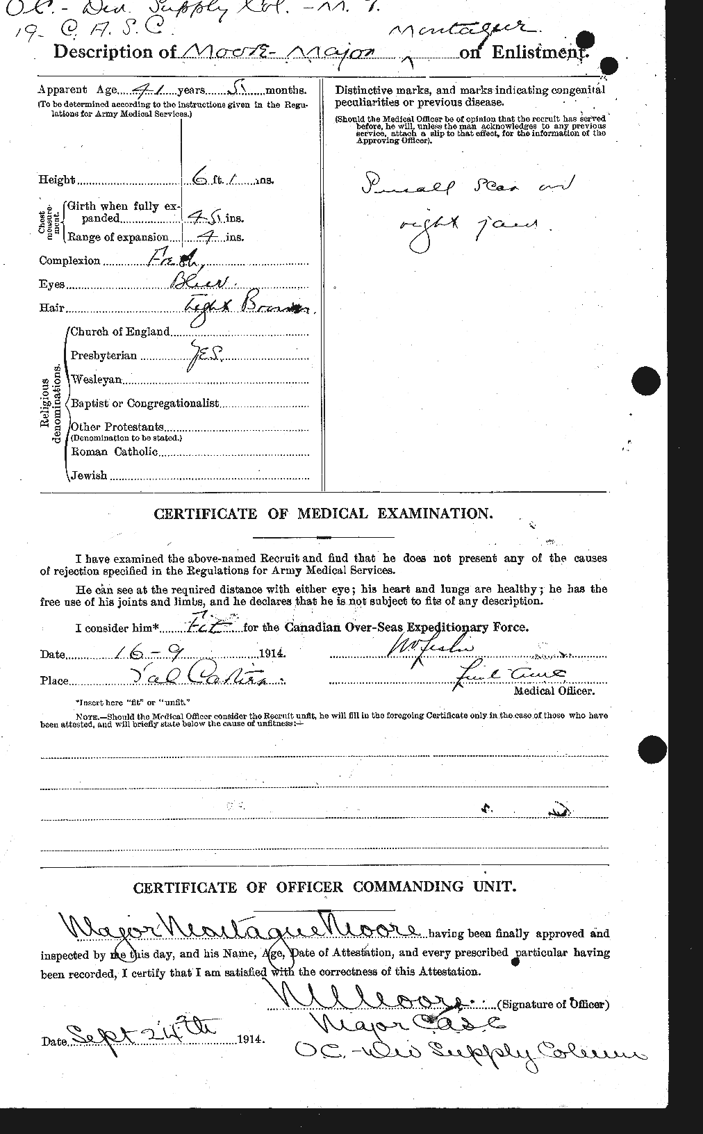 Personnel Records of the First World War - CEF 503448b