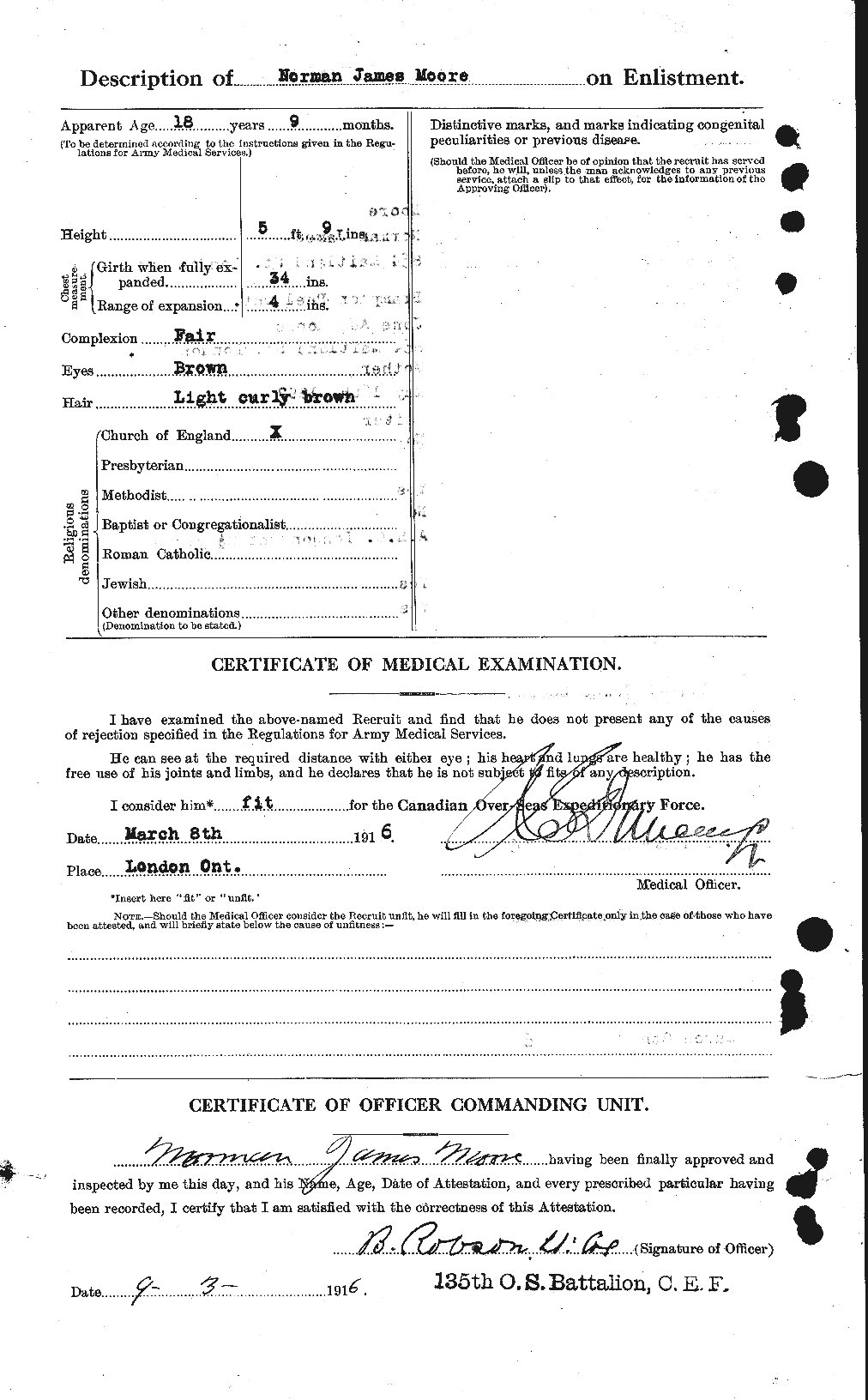 Personnel Records of the First World War - CEF 503464b