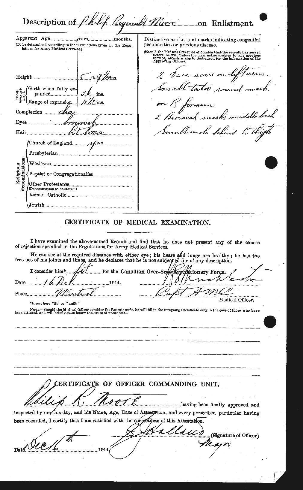 Personnel Records of the First World War - CEF 503502b