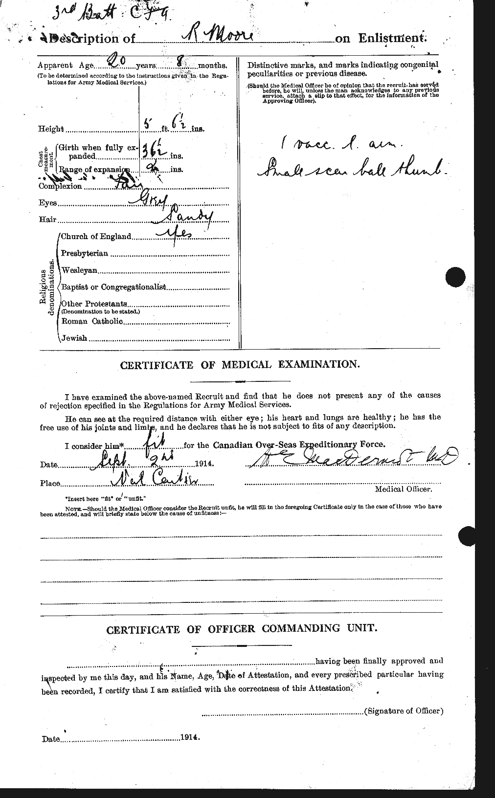 Personnel Records of the First World War - CEF 503517b