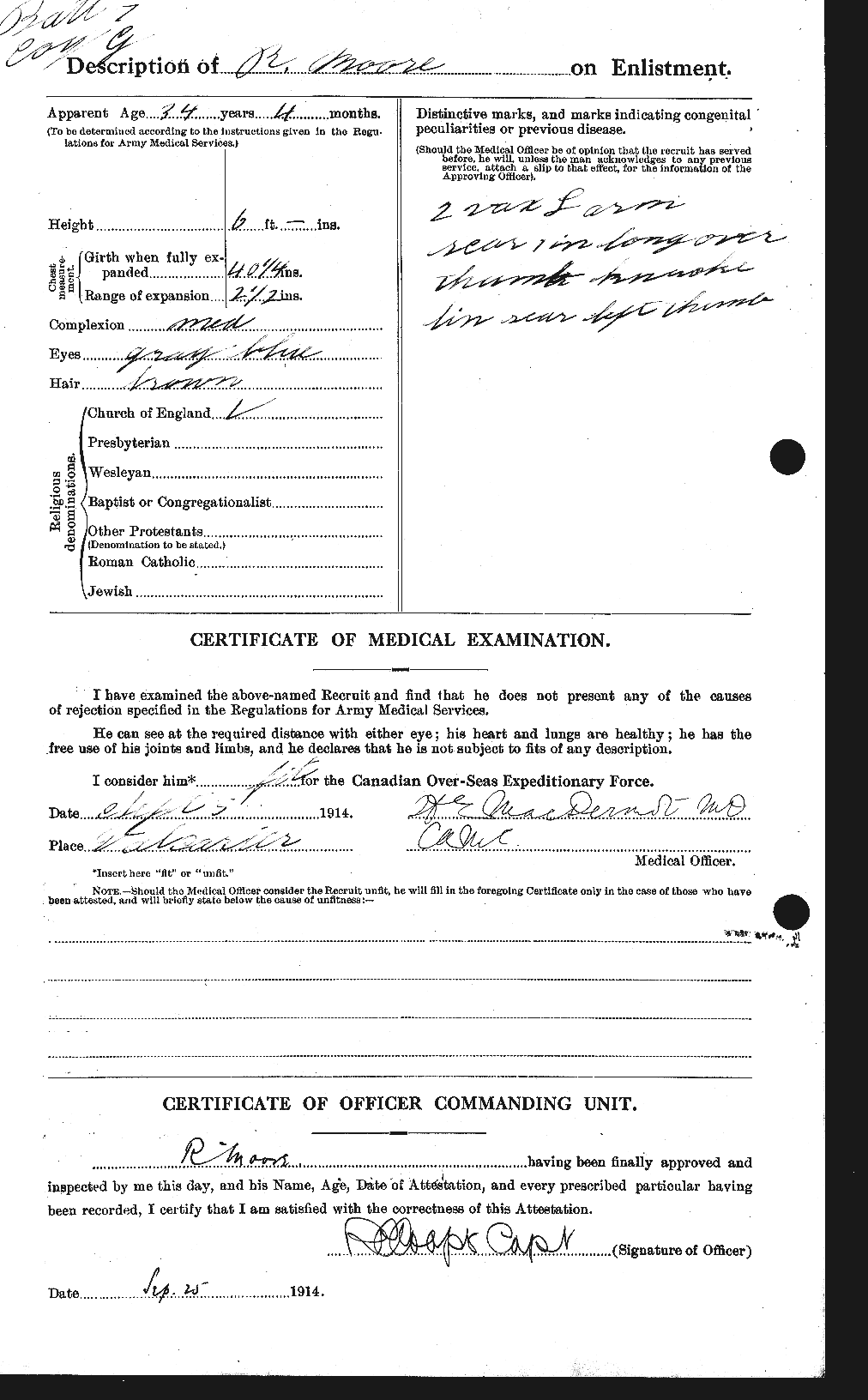 Personnel Records of the First World War - CEF 503554b