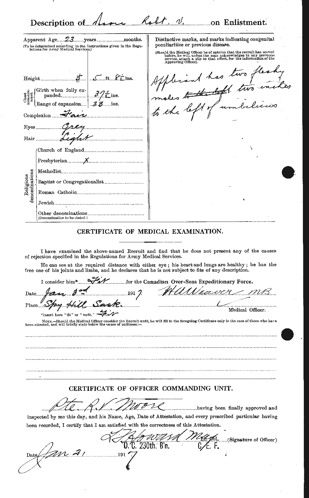 Personnel Records of the First World War - CEF 503584b