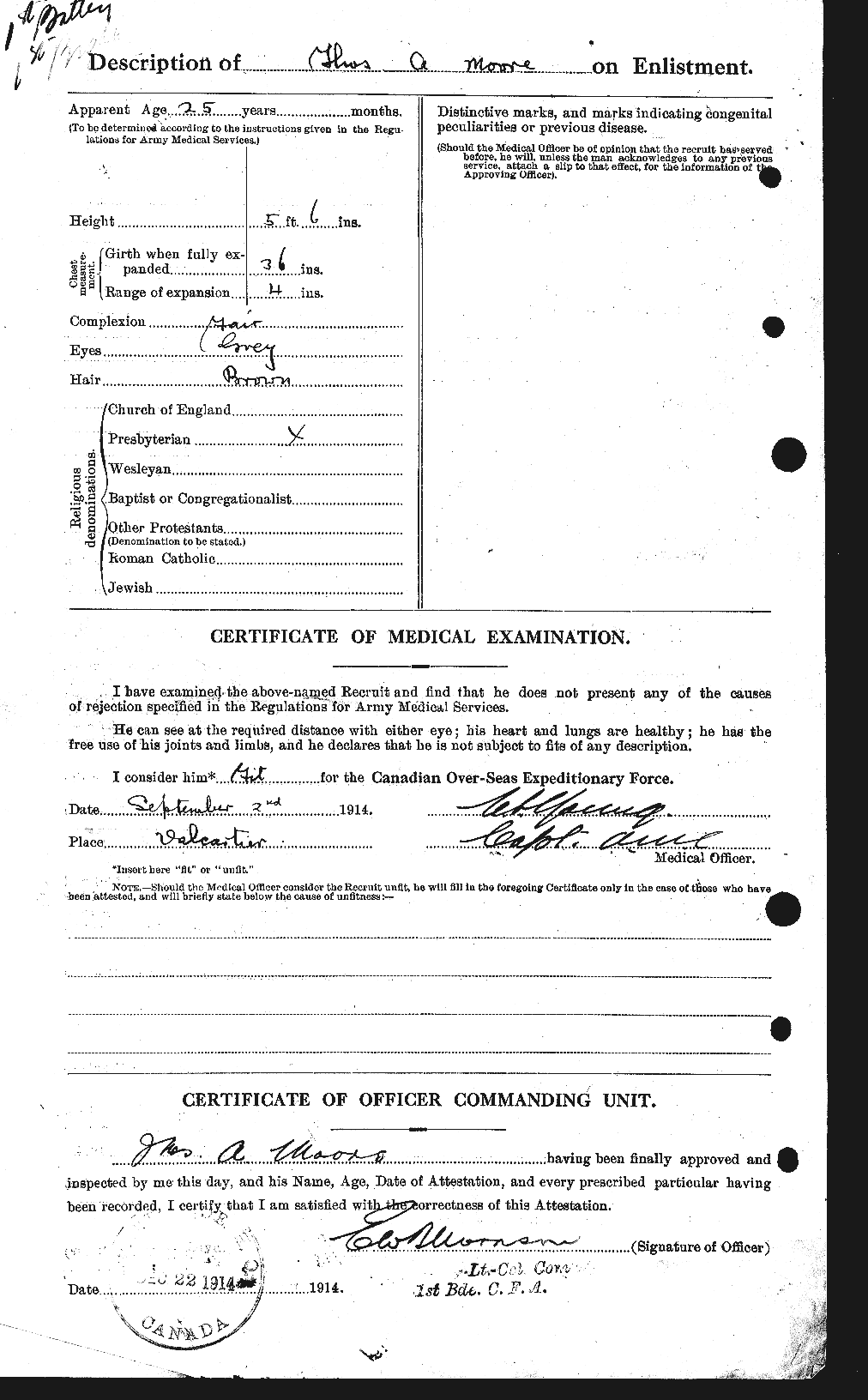 Personnel Records of the First World War - CEF 505641b