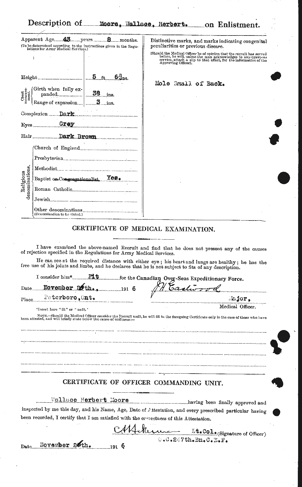 Personnel Records of the First World War - CEF 505685b