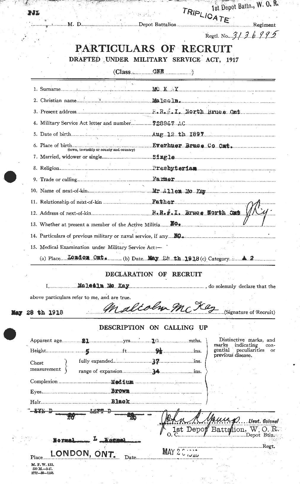 Personnel Records of the First World War - CEF 527161a