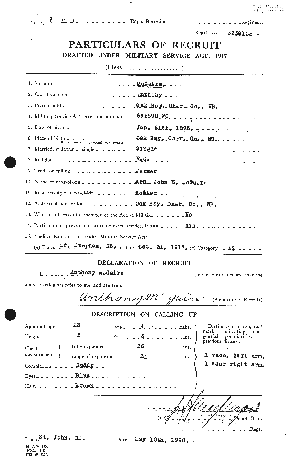 Personnel Records of the First World War - CEF 528154a