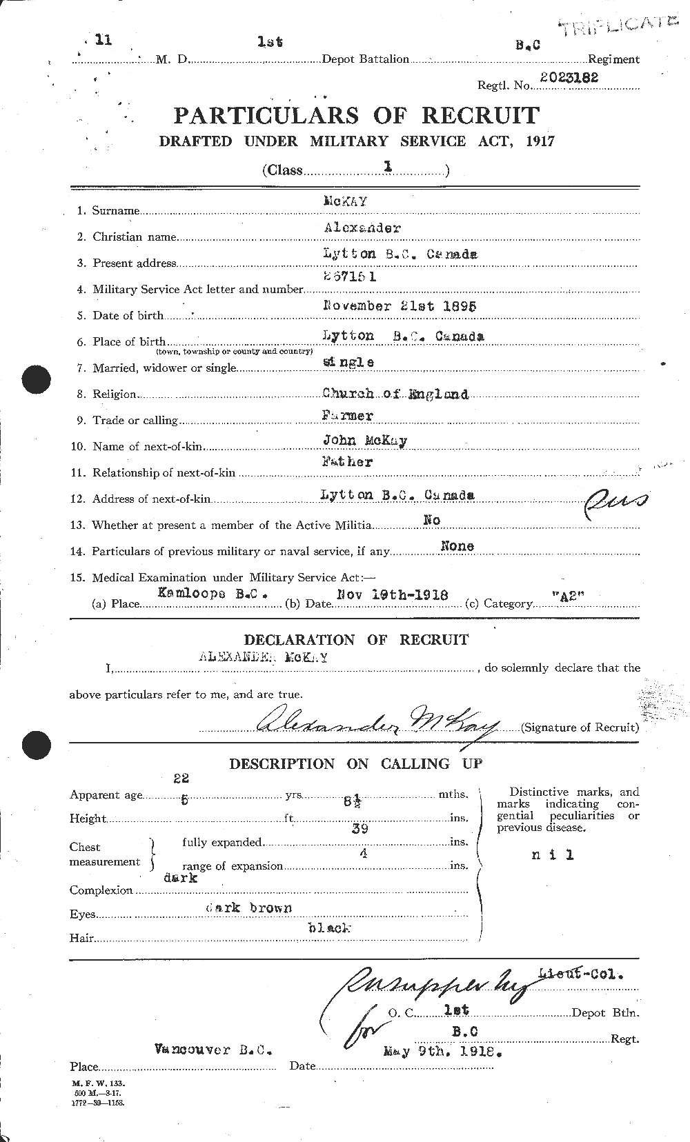 Personnel Records of the First World War - CEF 530906a