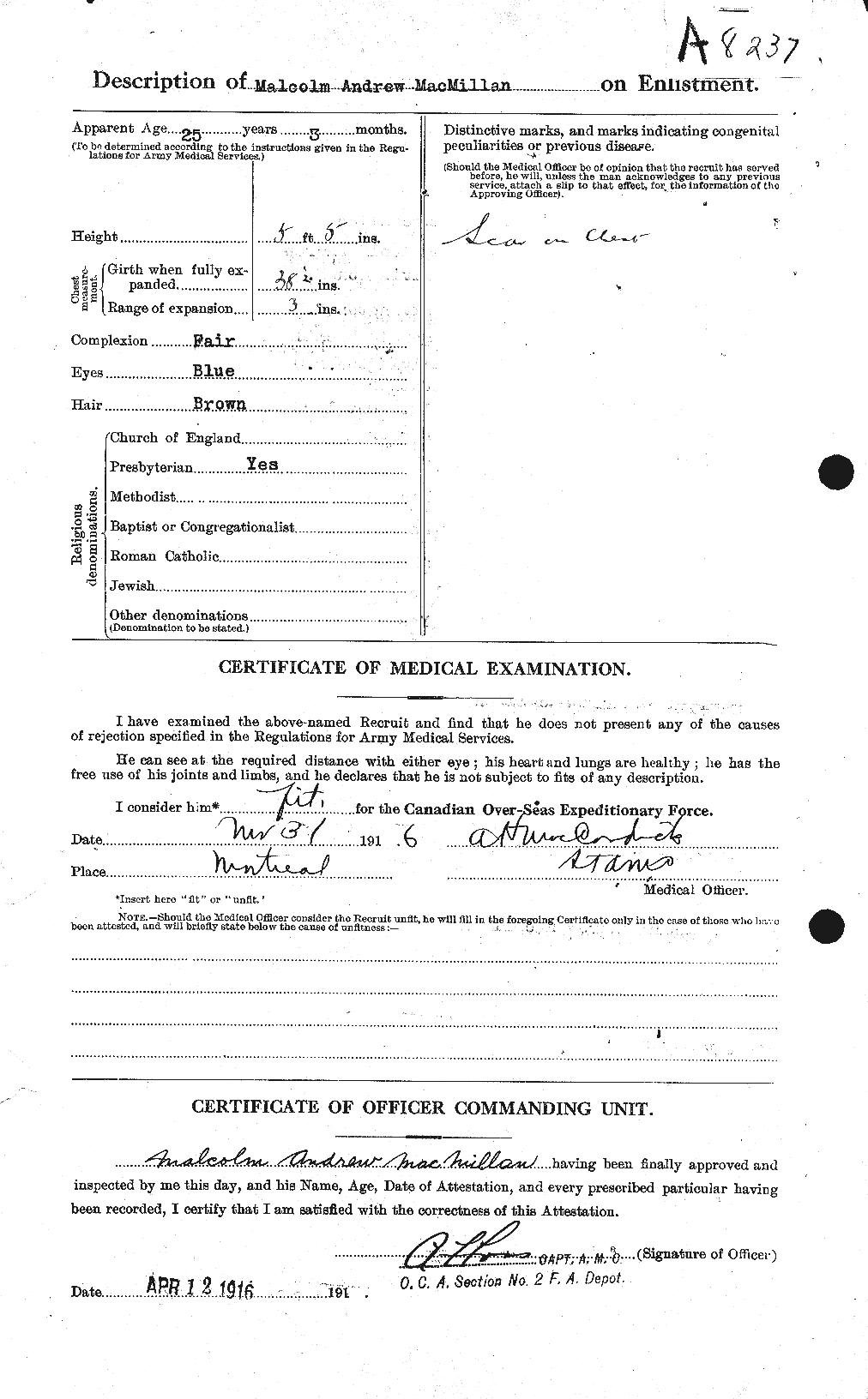 Personnel Records of the First World War - CEF 536846b