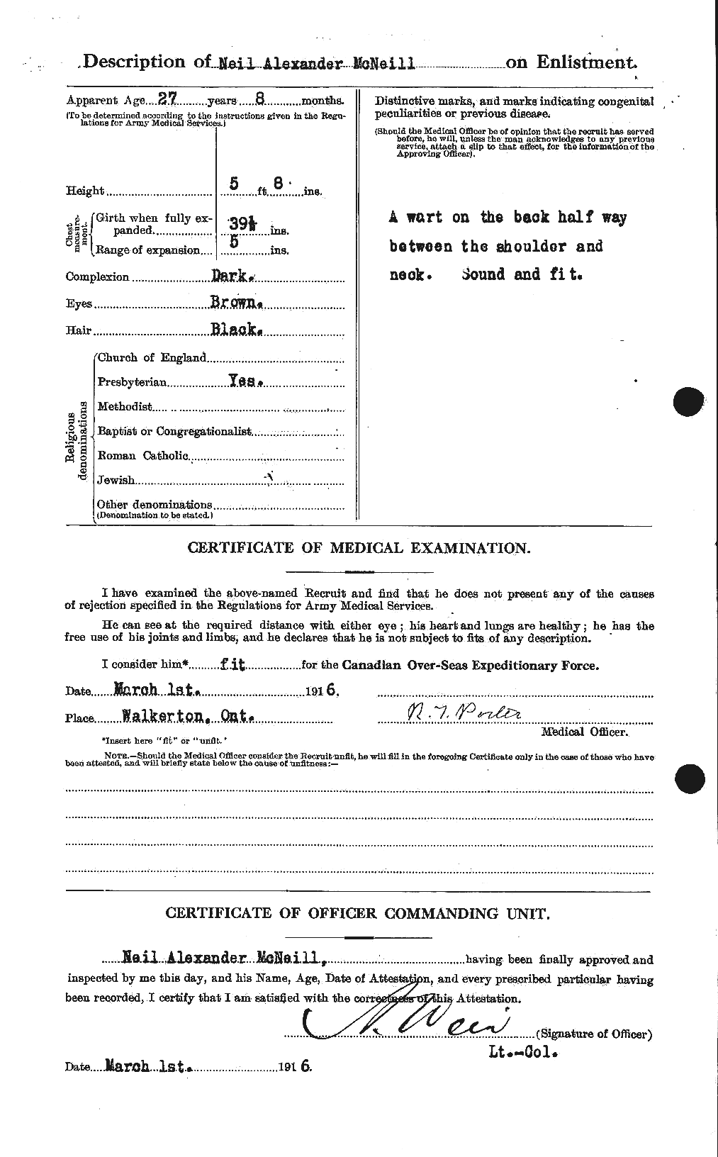 Personnel Records of the First World War - CEF 539010b