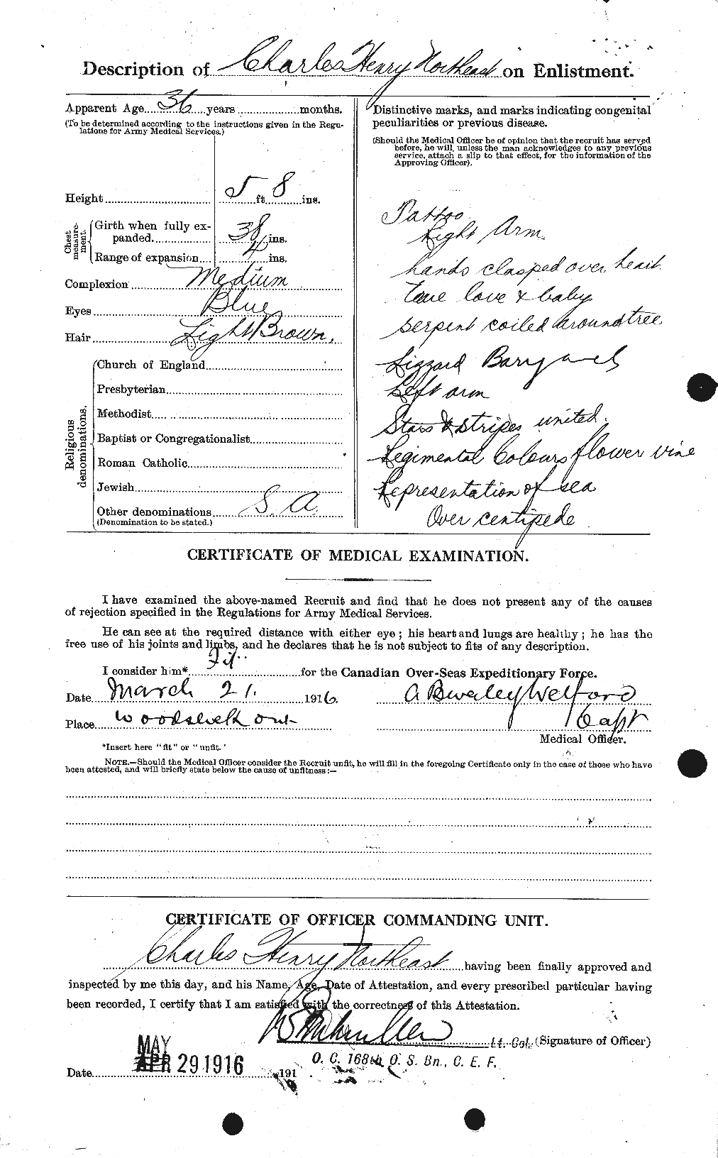 Personnel Records of the First World War - CEF 551661b
