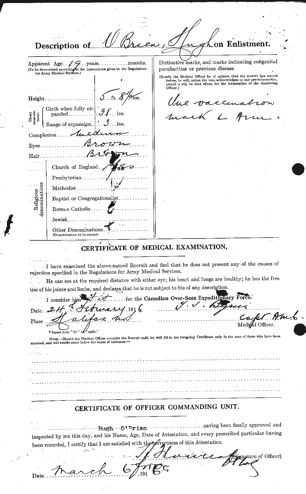 Personnel Records of the First World War - CEF 554057b