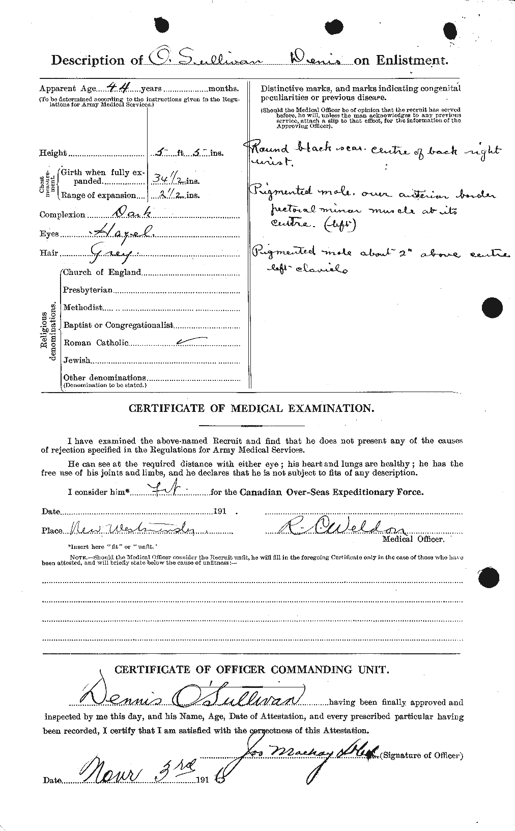 Personnel Records of the First World War - CEF 560308b