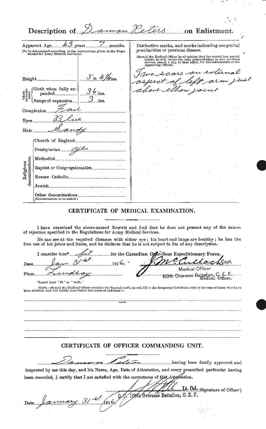 Personnel Records of the First World War - CEF 575381b