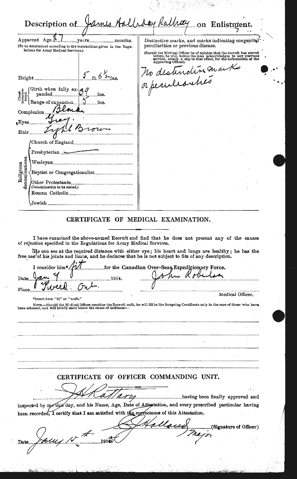 Personnel Records of the First World War - CEF 595700b