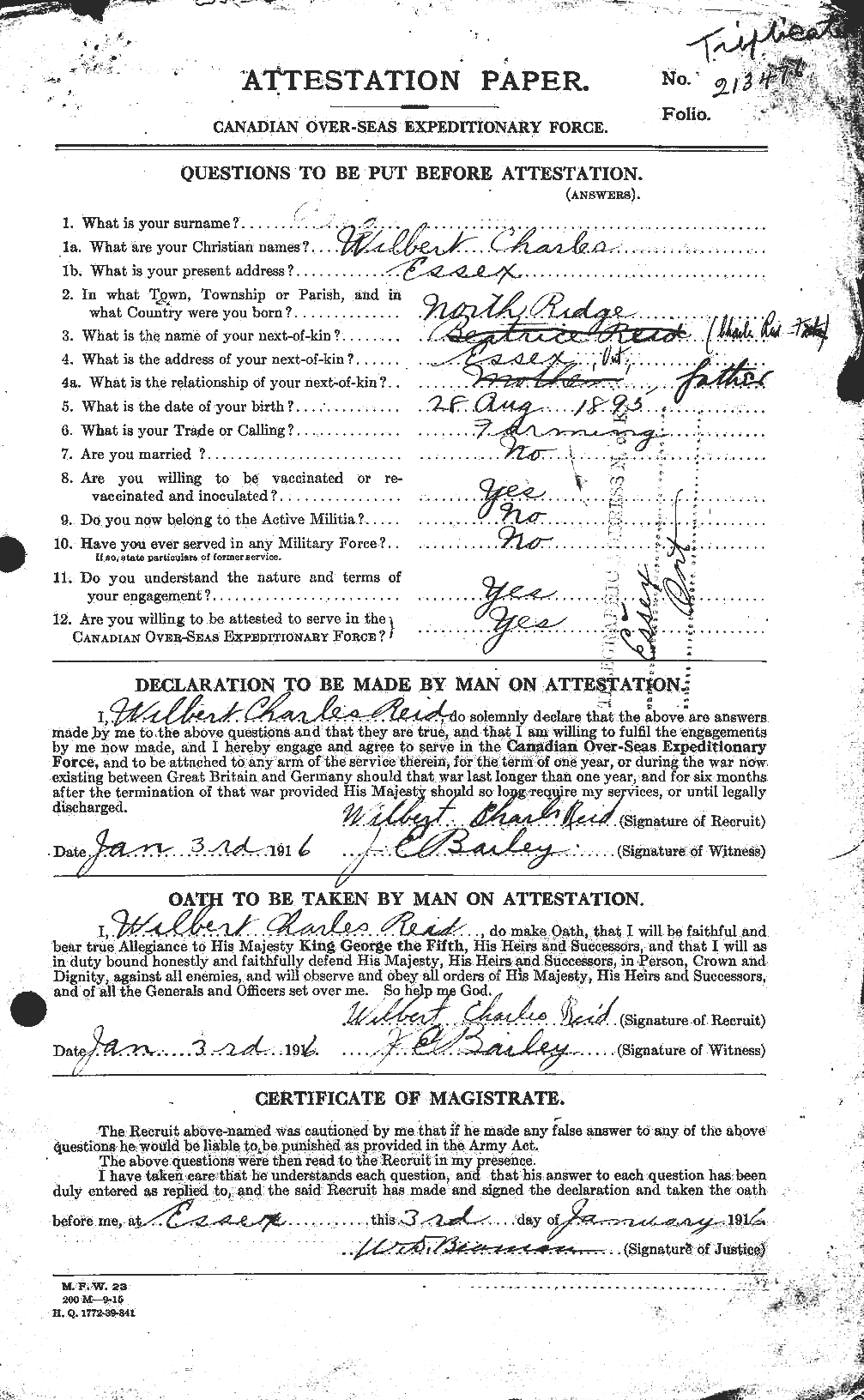 Personnel Records of the First World War - CEF 596900a