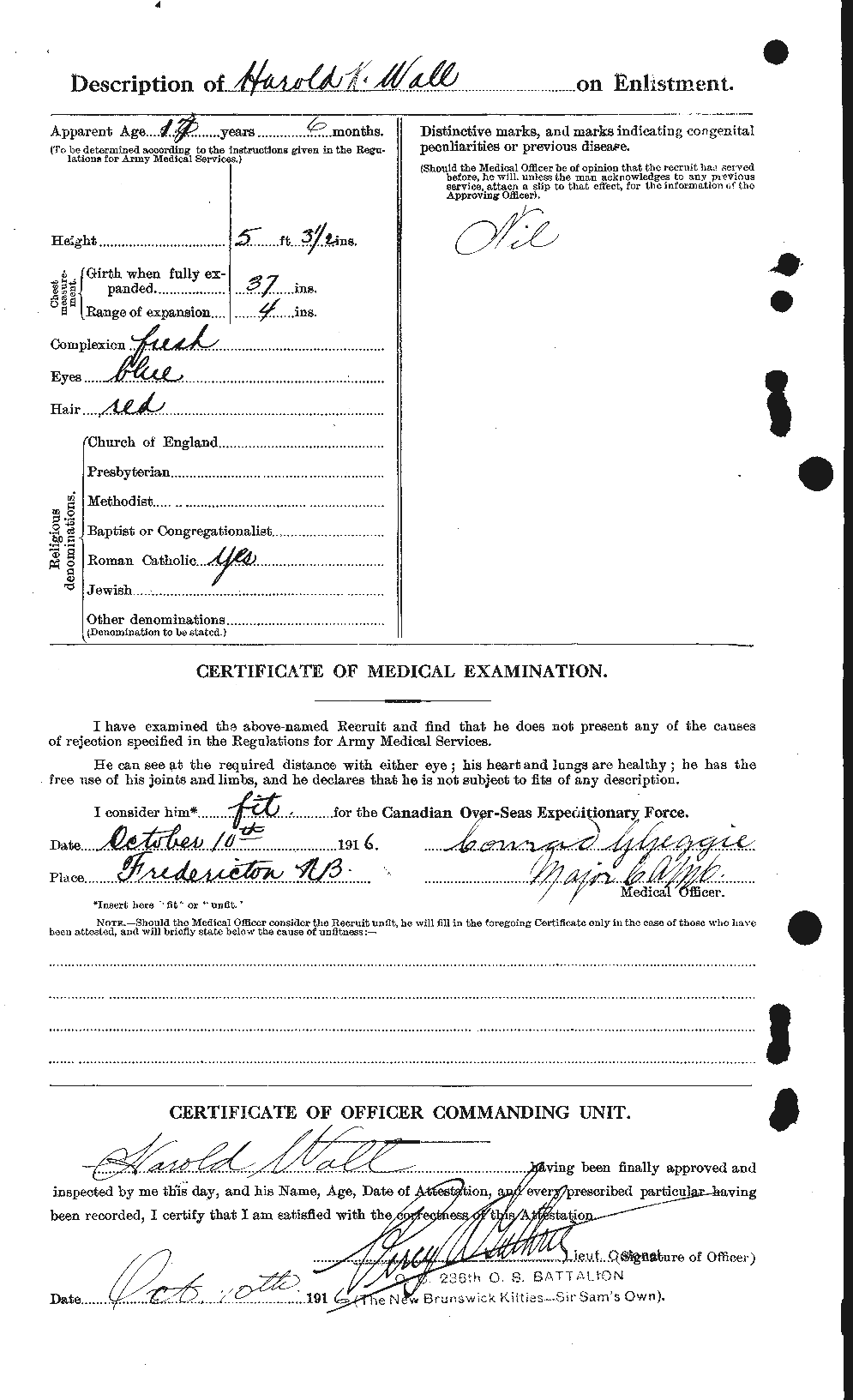 Personnel Records of the First World War - CEF 650230b