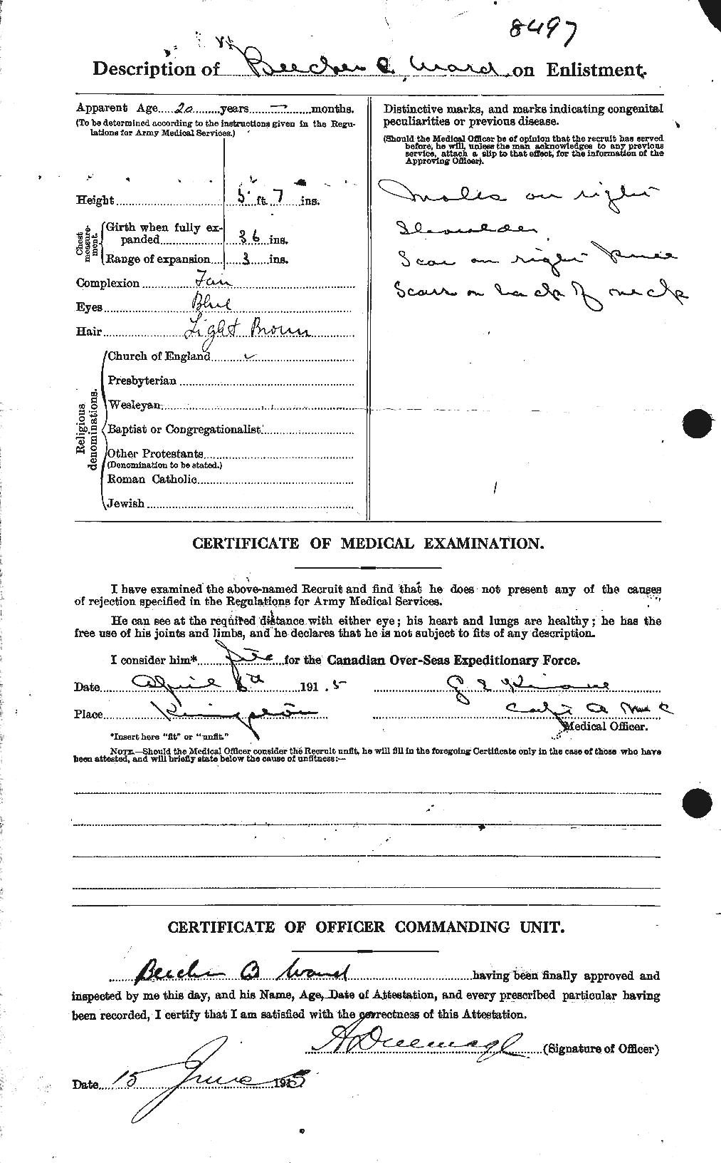 Personnel Records of the First World War - CEF 655161b