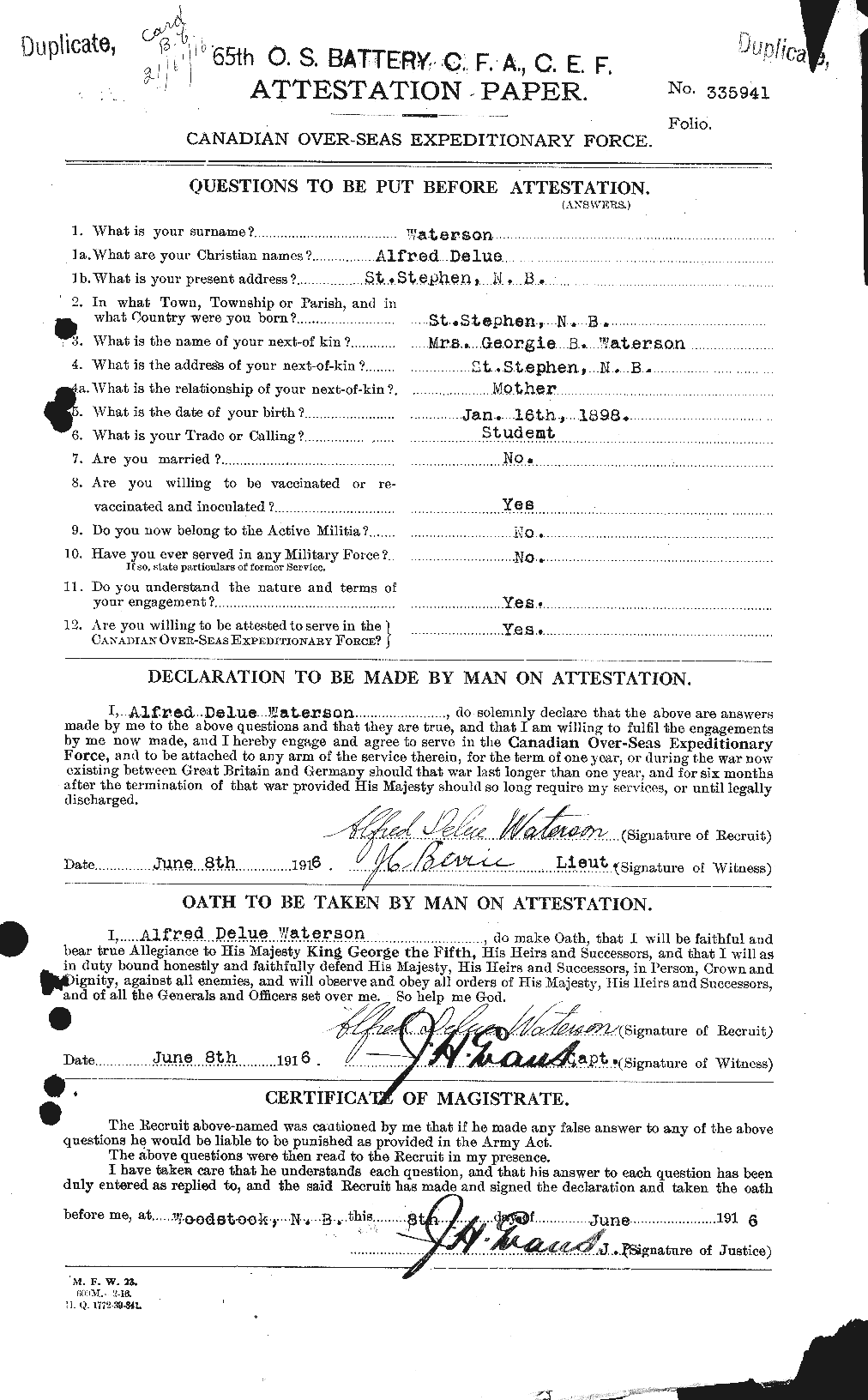 Personnel Records of the First World War - CEF 658294a