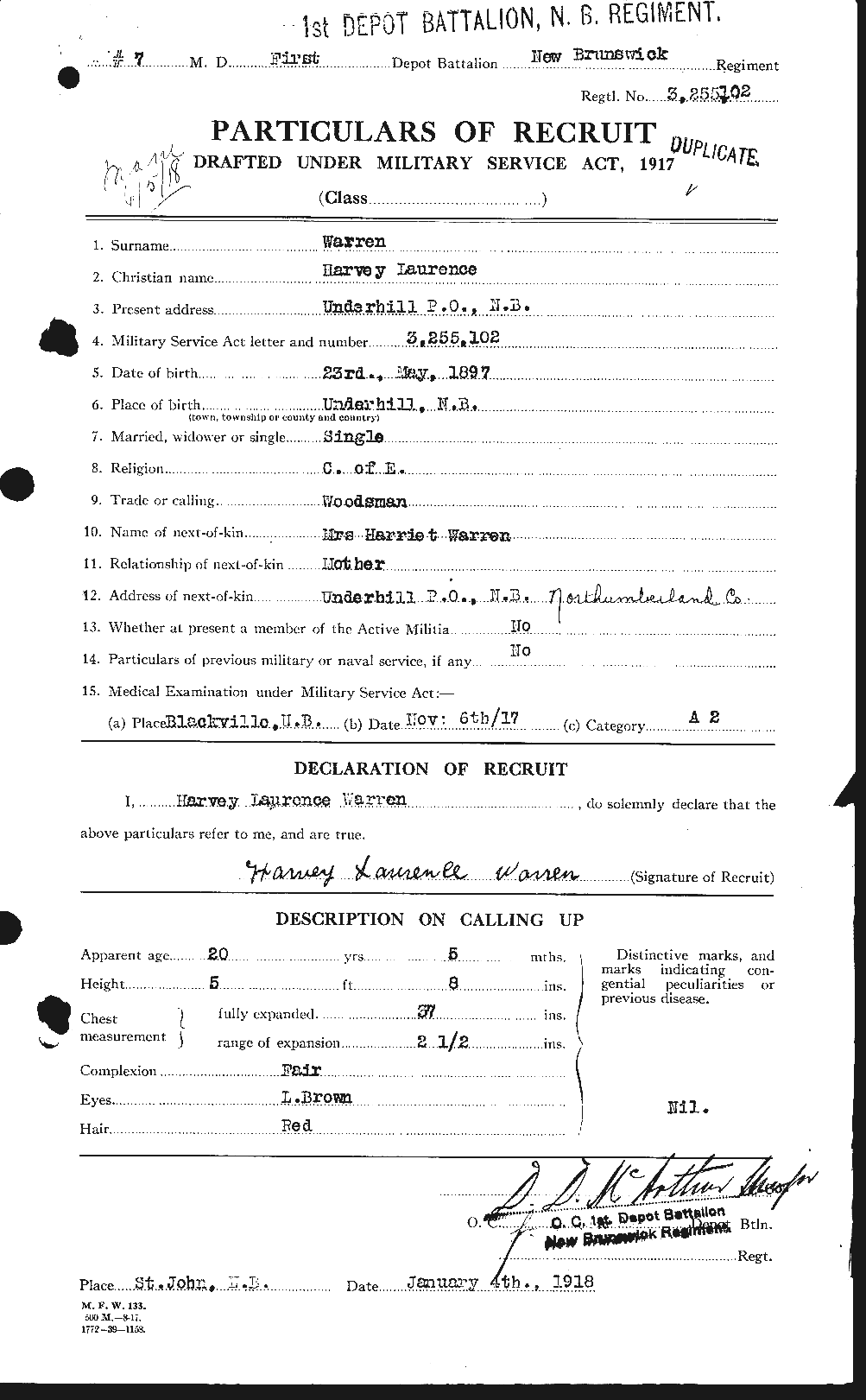 Personnel Records of the First World War - CEF 658491a