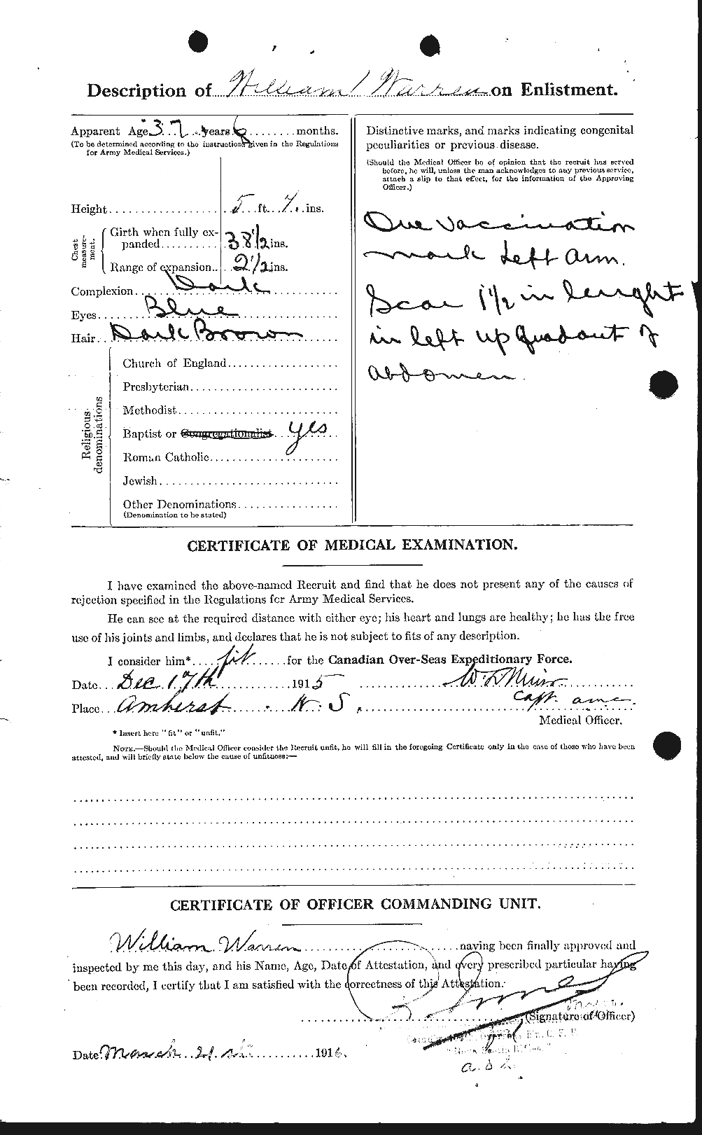 Personnel Records of the First World War - CEF 658677b