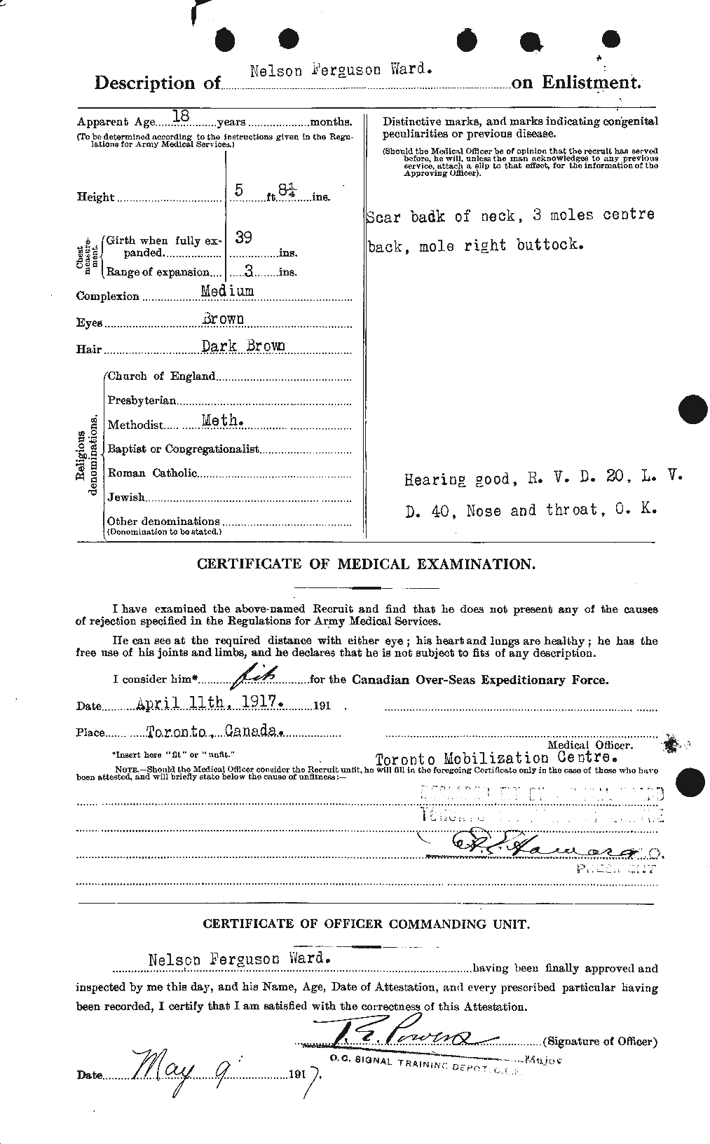 Personnel Records of the First World War - CEF 659609b