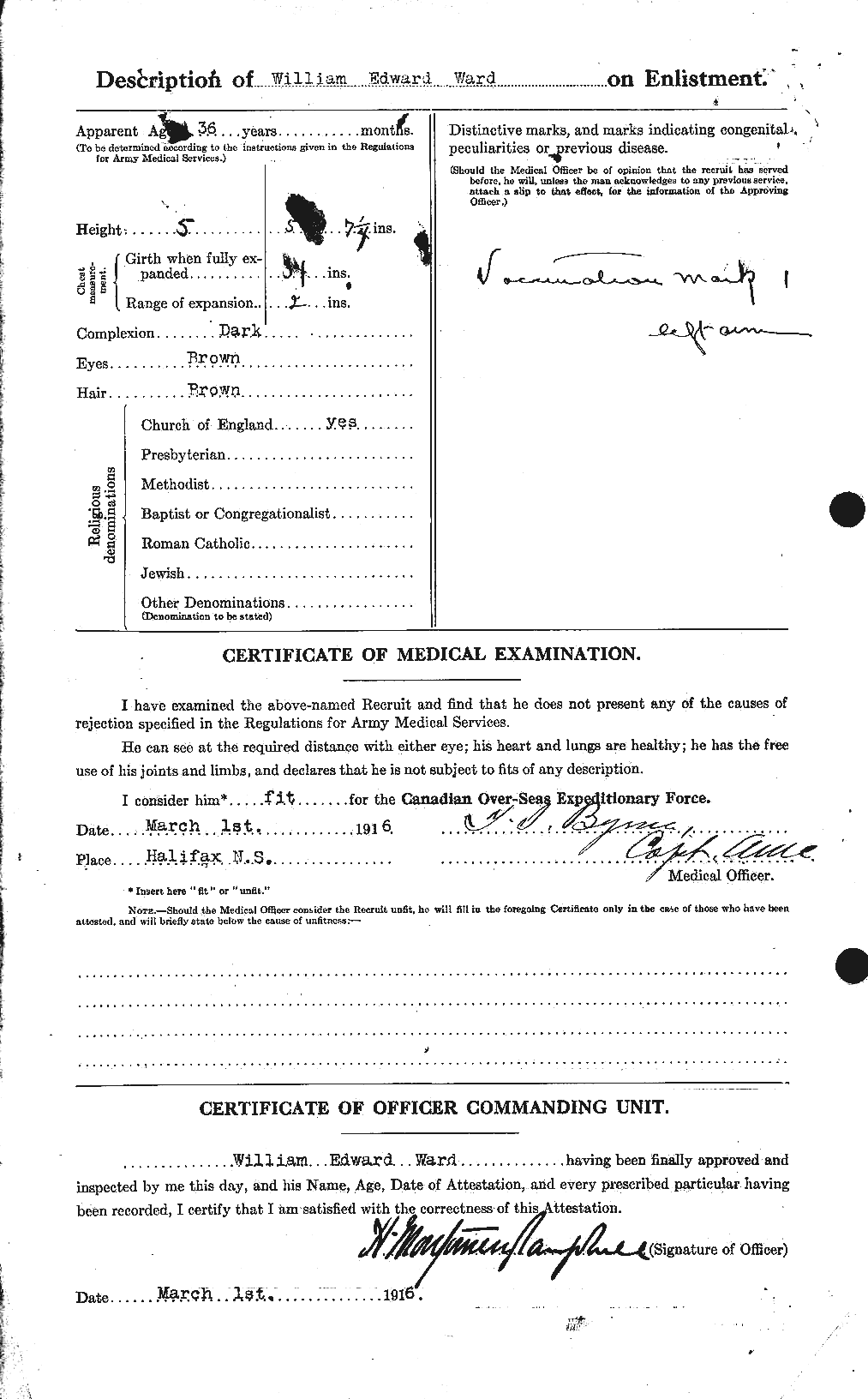 Personnel Records of the First World War - CEF 659811b