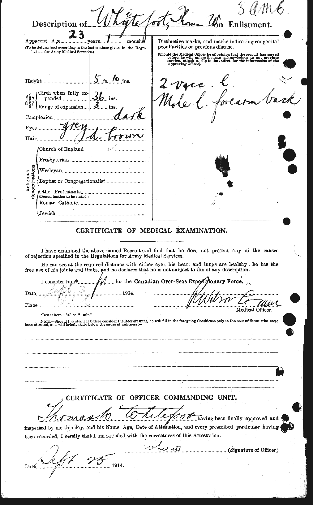 Personnel Records of the First World War - CEF 669122b