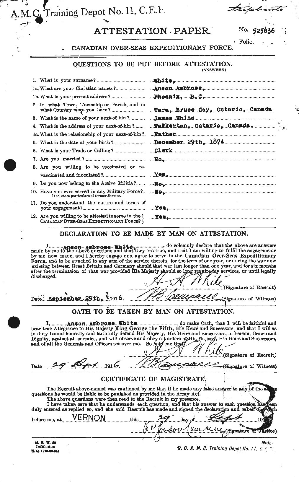 Personnel Records of the First World War - CEF 669811a