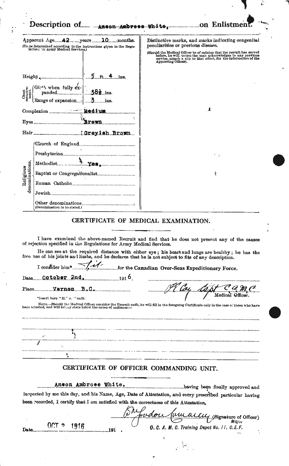 Personnel Records of the First World War - CEF 669811b