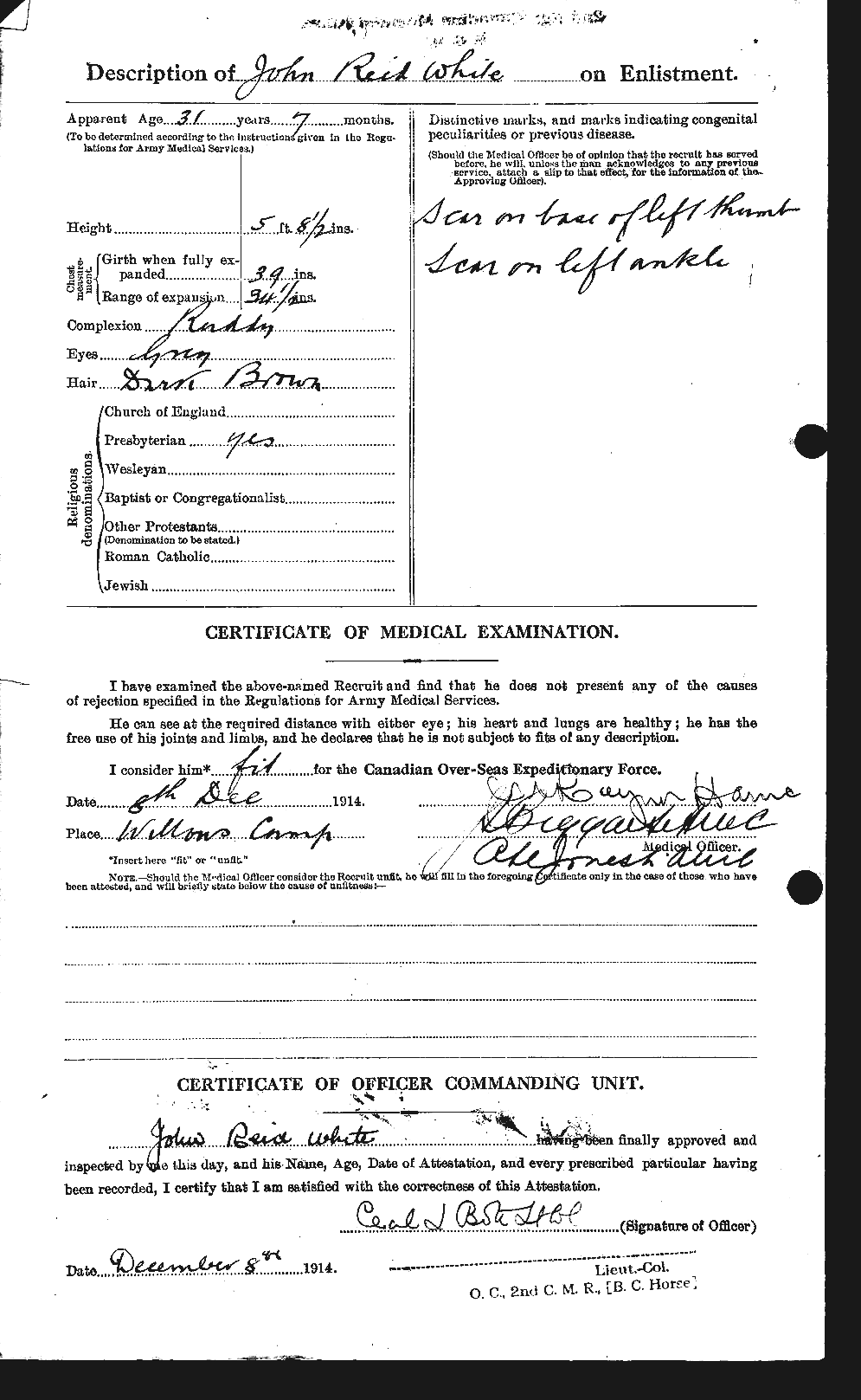 Personnel Records of the First World War - CEF 671589b