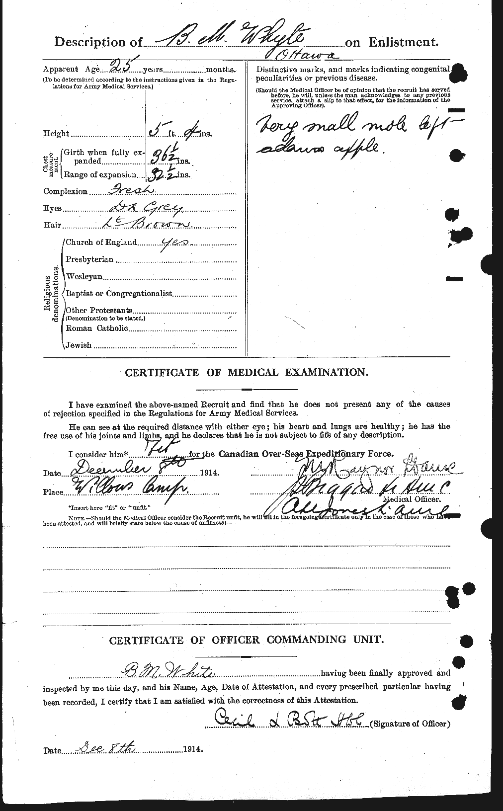 Personnel Records of the First World War - CEF 672491b