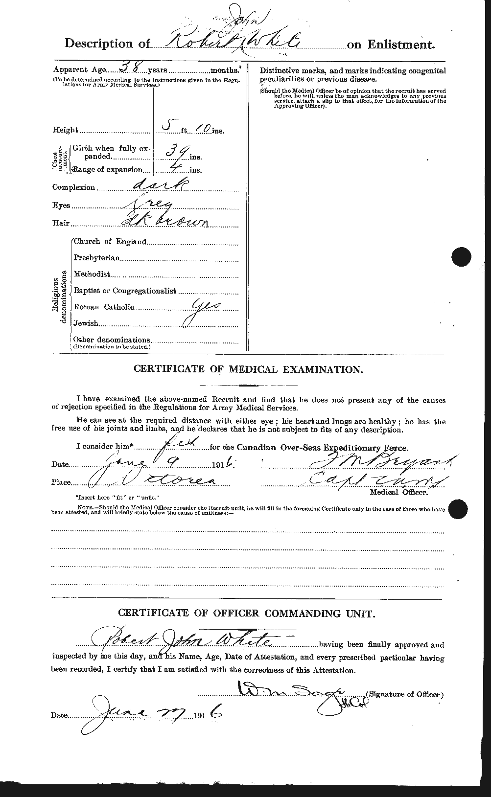 Personnel Records of the First World War - CEF 673499b