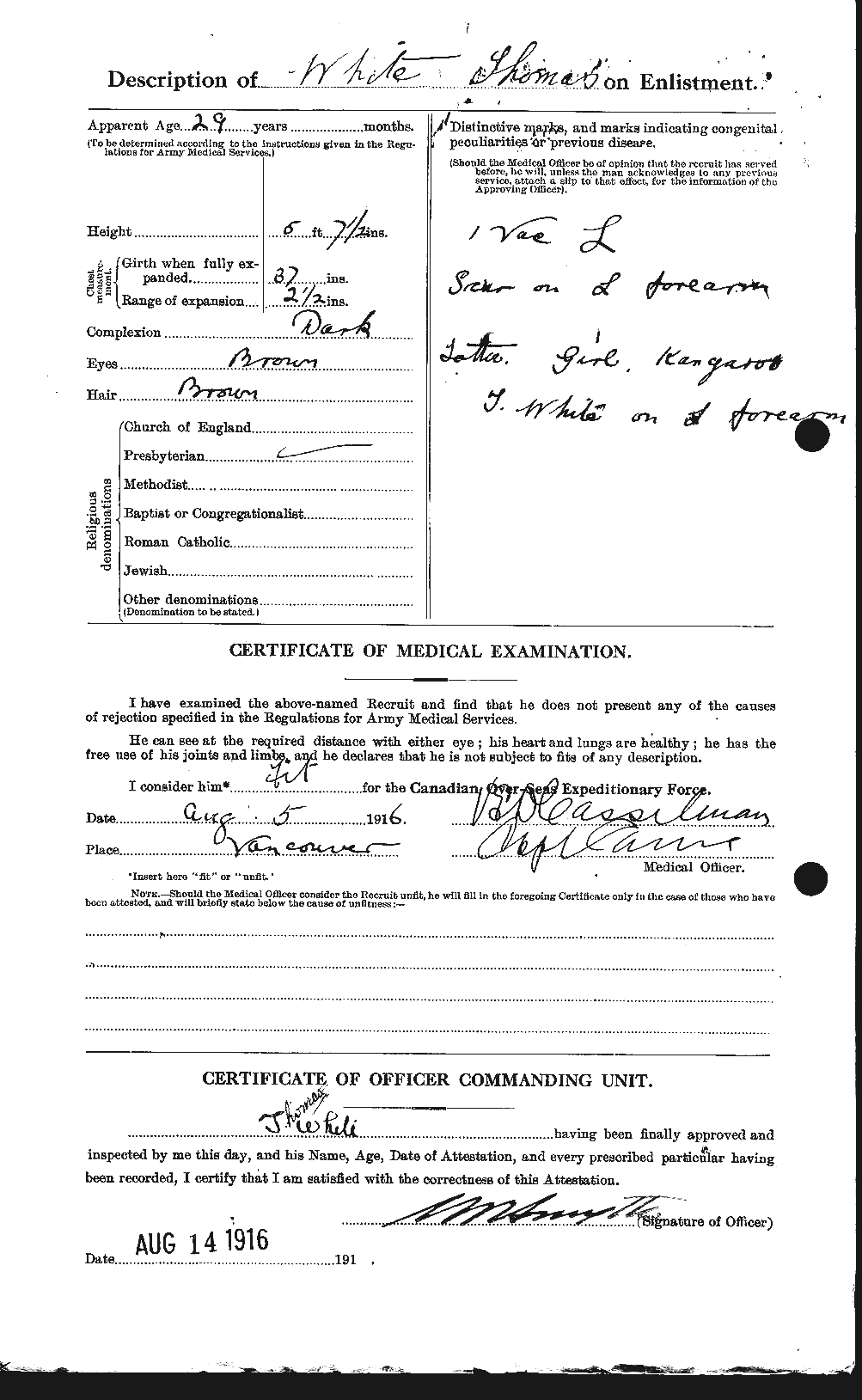 Personnel Records of the First World War - CEF 673581b