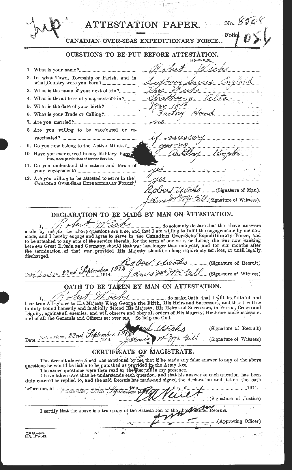 Personnel Records of the First World War - CEF 674013a