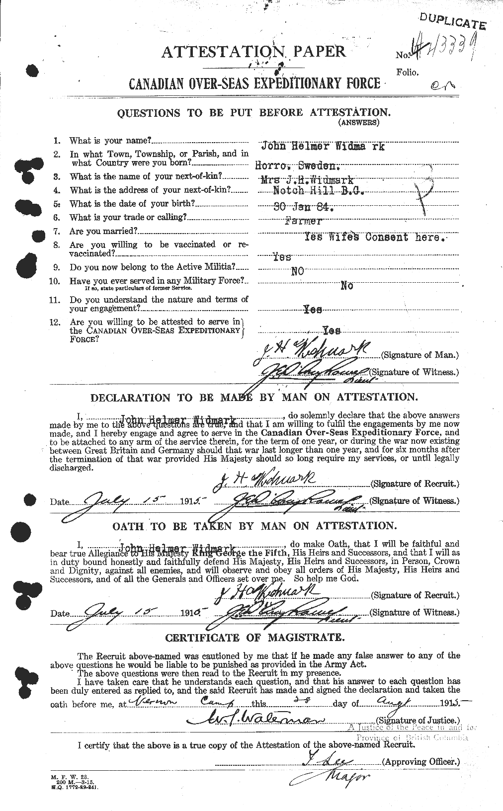 Personnel Records of the First World War - CEF 674118a