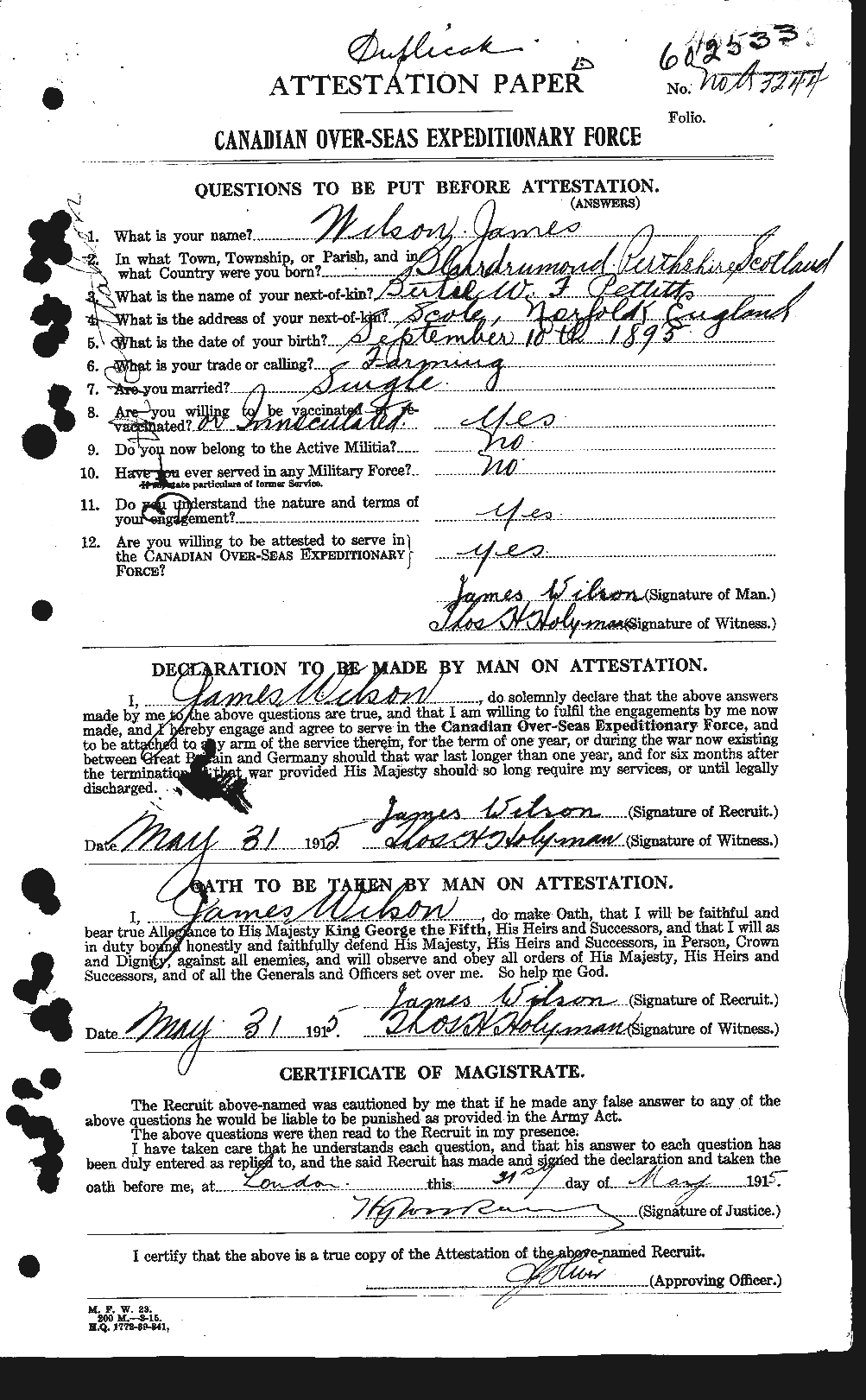 Personnel Records of the First World War - CEF 681336a