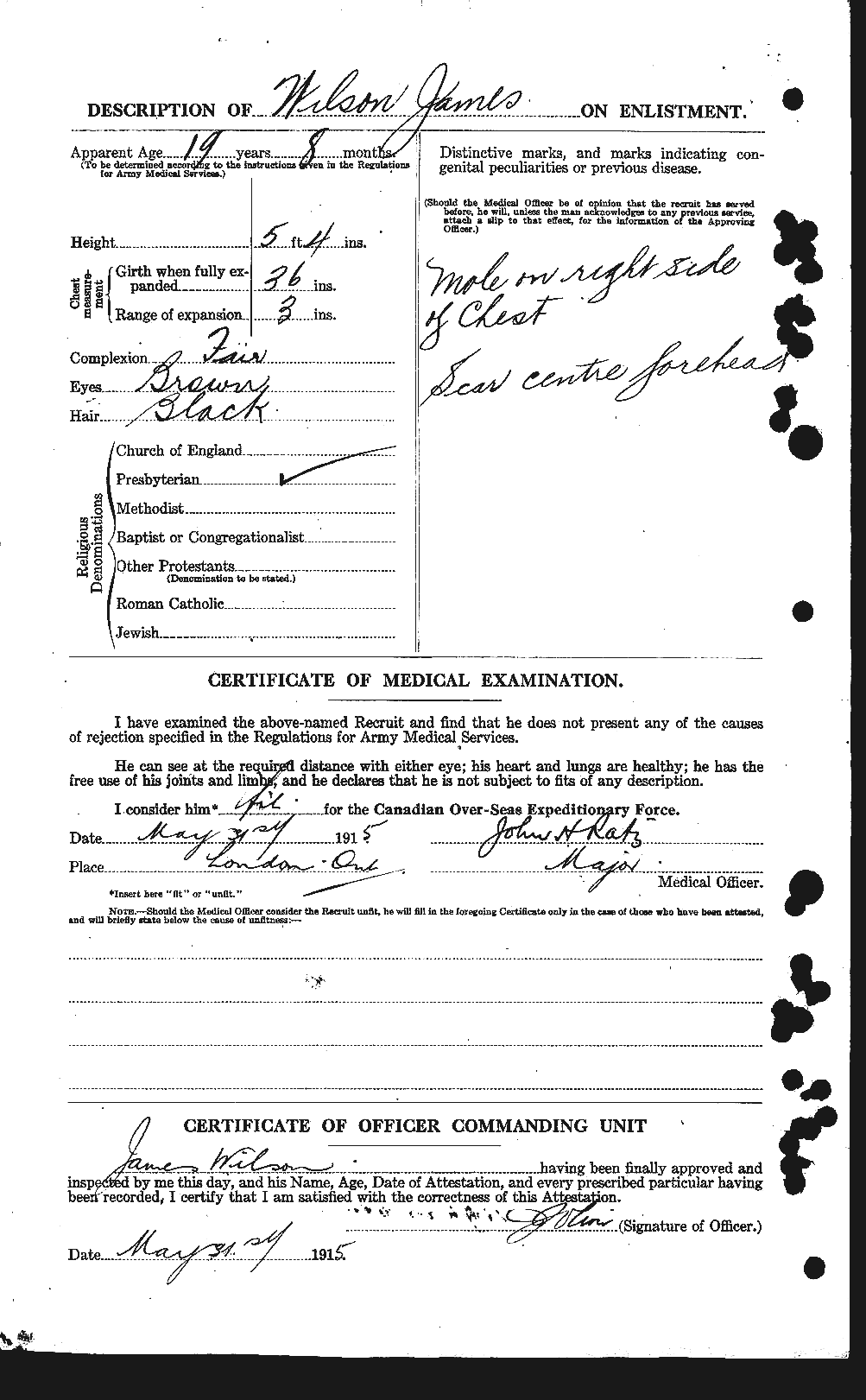 Personnel Records of the First World War - CEF 681336b