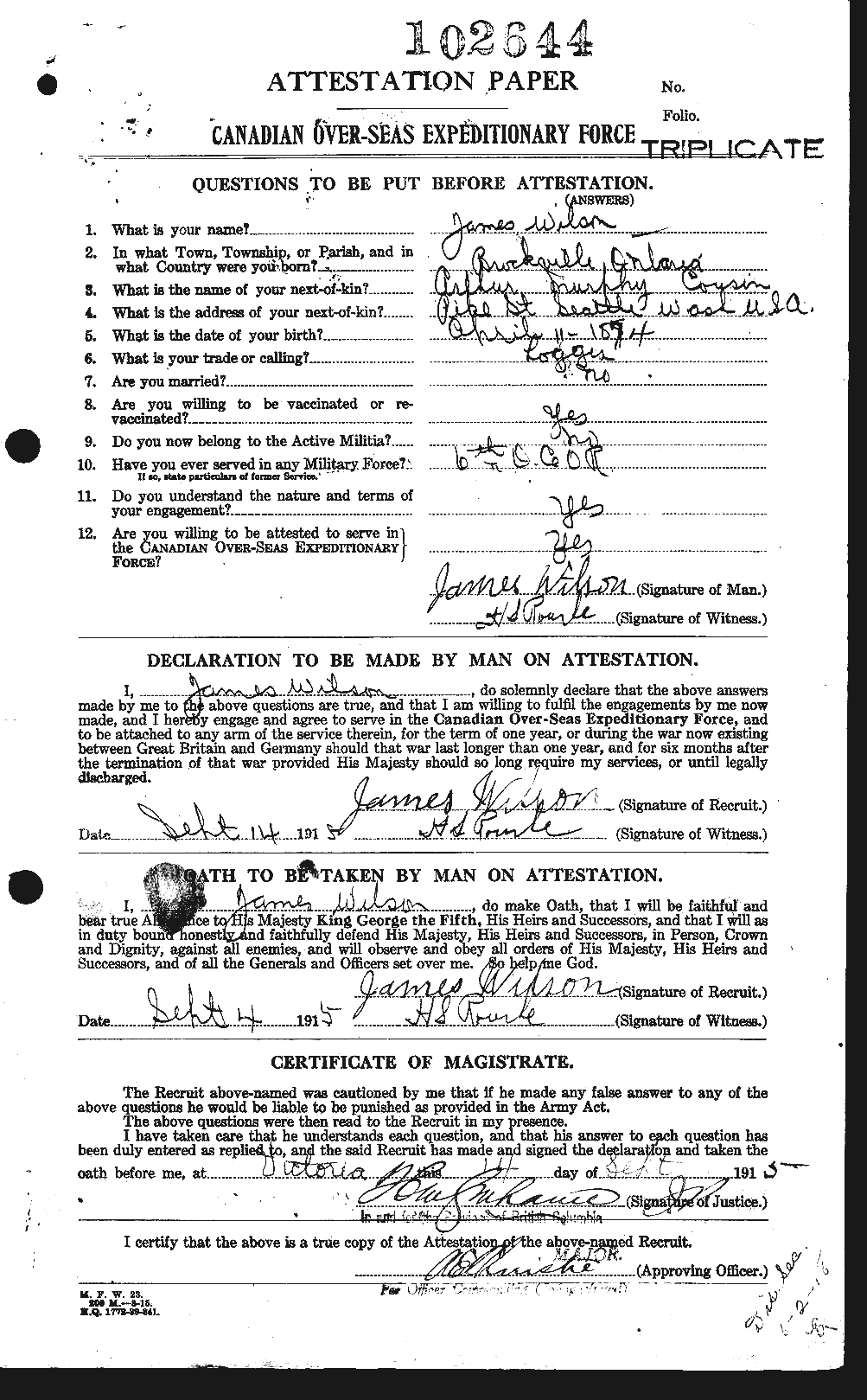Personnel Records of the First World War - CEF 681373a